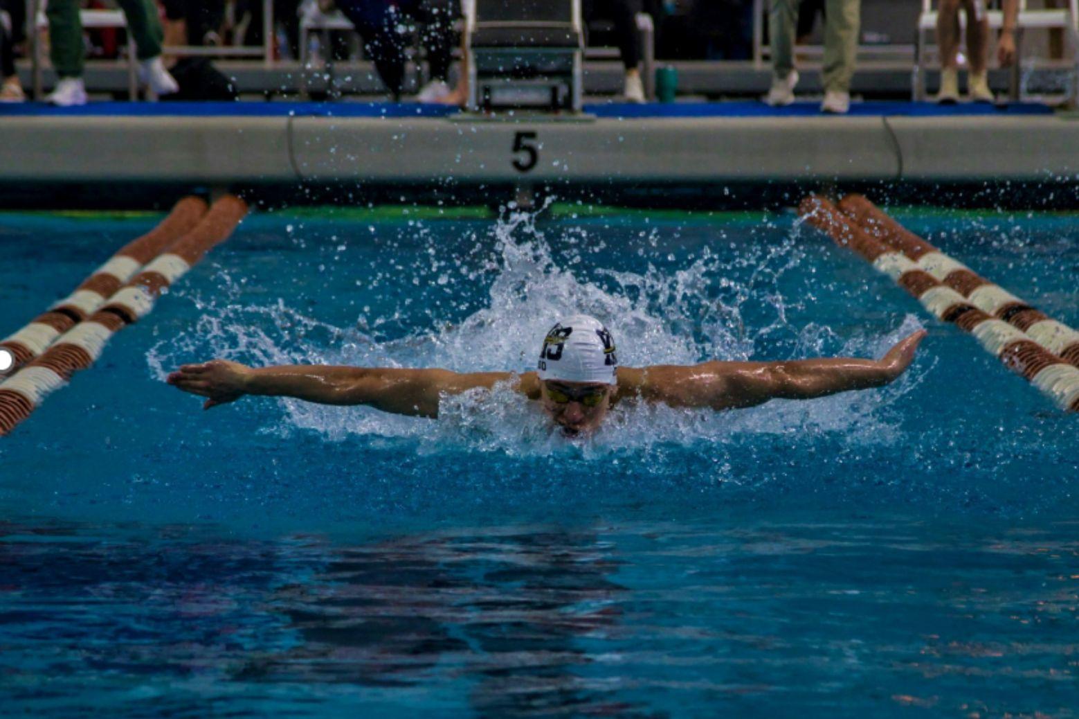 How Michael Phelps dominated the swimming world